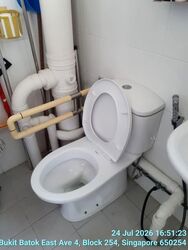 Blk 257 Bukit Batok East Avenue 4 (Bukit Batok), HDB 5 Rooms #602081571